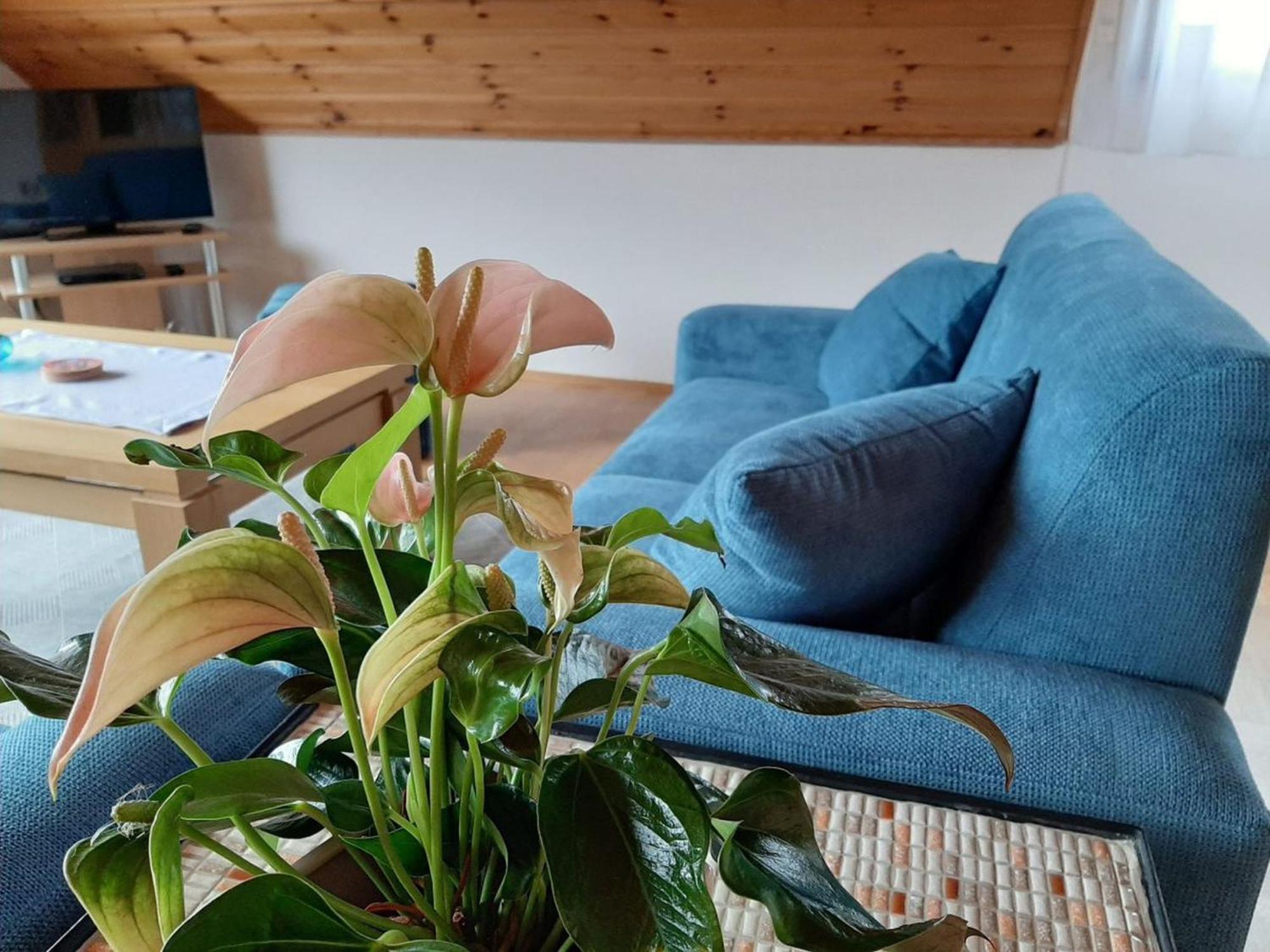 Ferienwohnung Am Patenberg Finnentrop Eksteriør billede